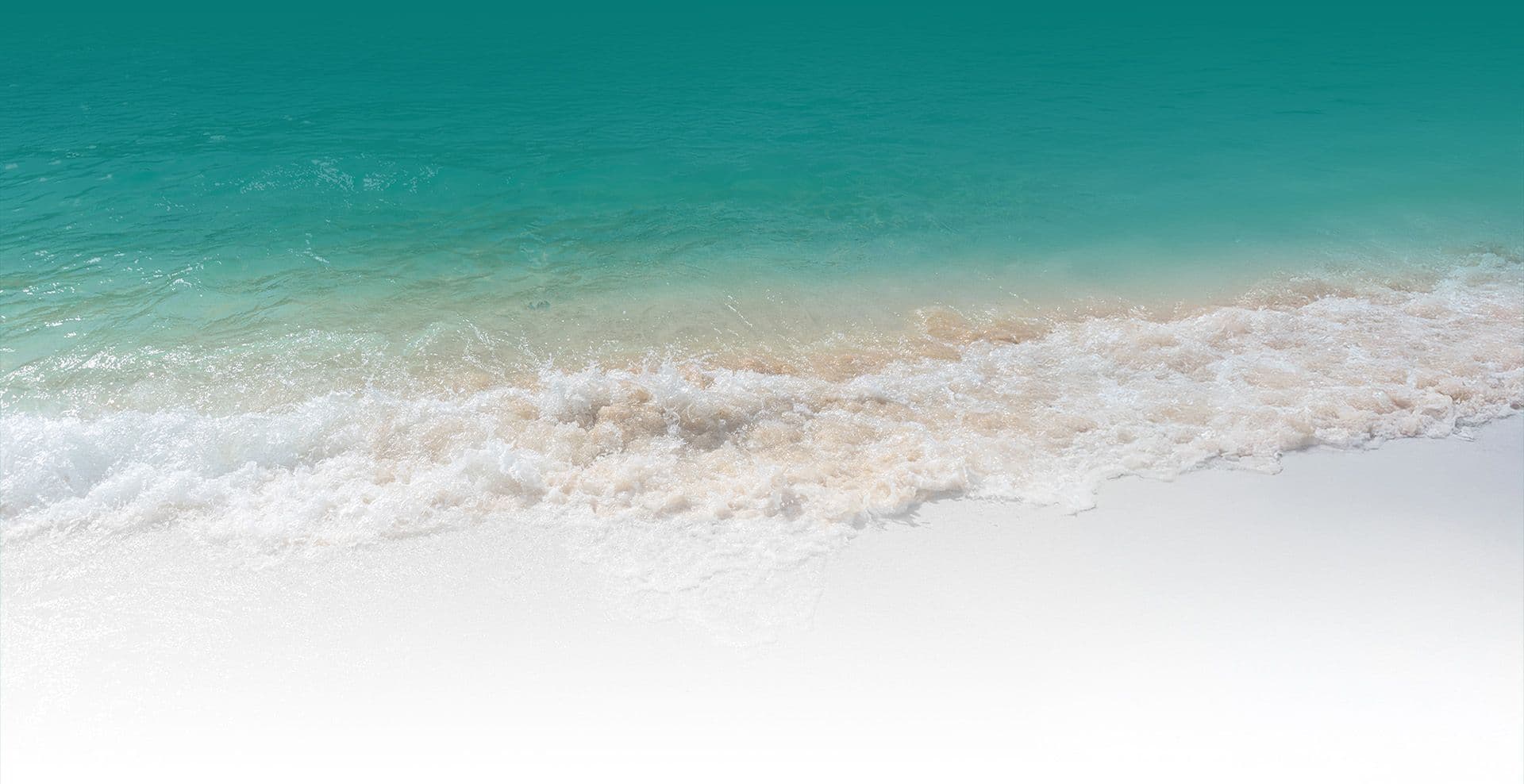Fondo marino